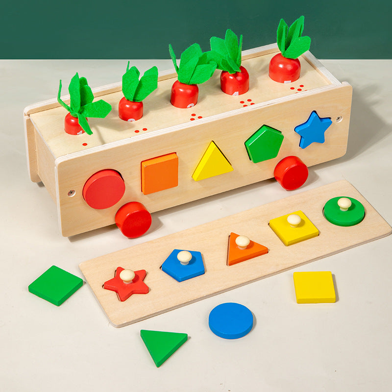 5 in 1 Classification Colour Shape Sorting Box Montessori inspired Kids Wooden Toy