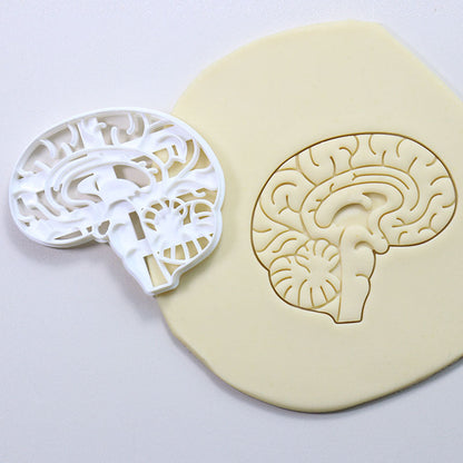 Cookie Play Dough Shape Stencil Human Organs Pack