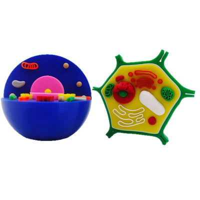 Célula animal y célula vegetal impresas en 3D: modelos STEM educativos para niños