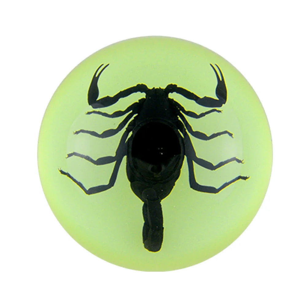 Butterfly Scorpion Spider Specimen Resin Hemisphere Domes Insects Bugs  Circular Blocks Science Toy