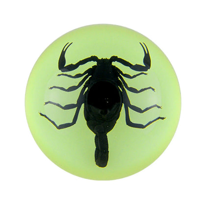 Butterfly Scorpion Spider Specimen Resin Hemisphere Domes Insects Bugs  Circular Blocks Science Toy