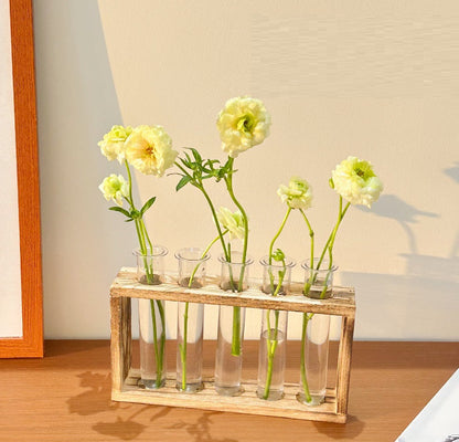 Test Tube hydroponics Science Learning Apparatus / Decor