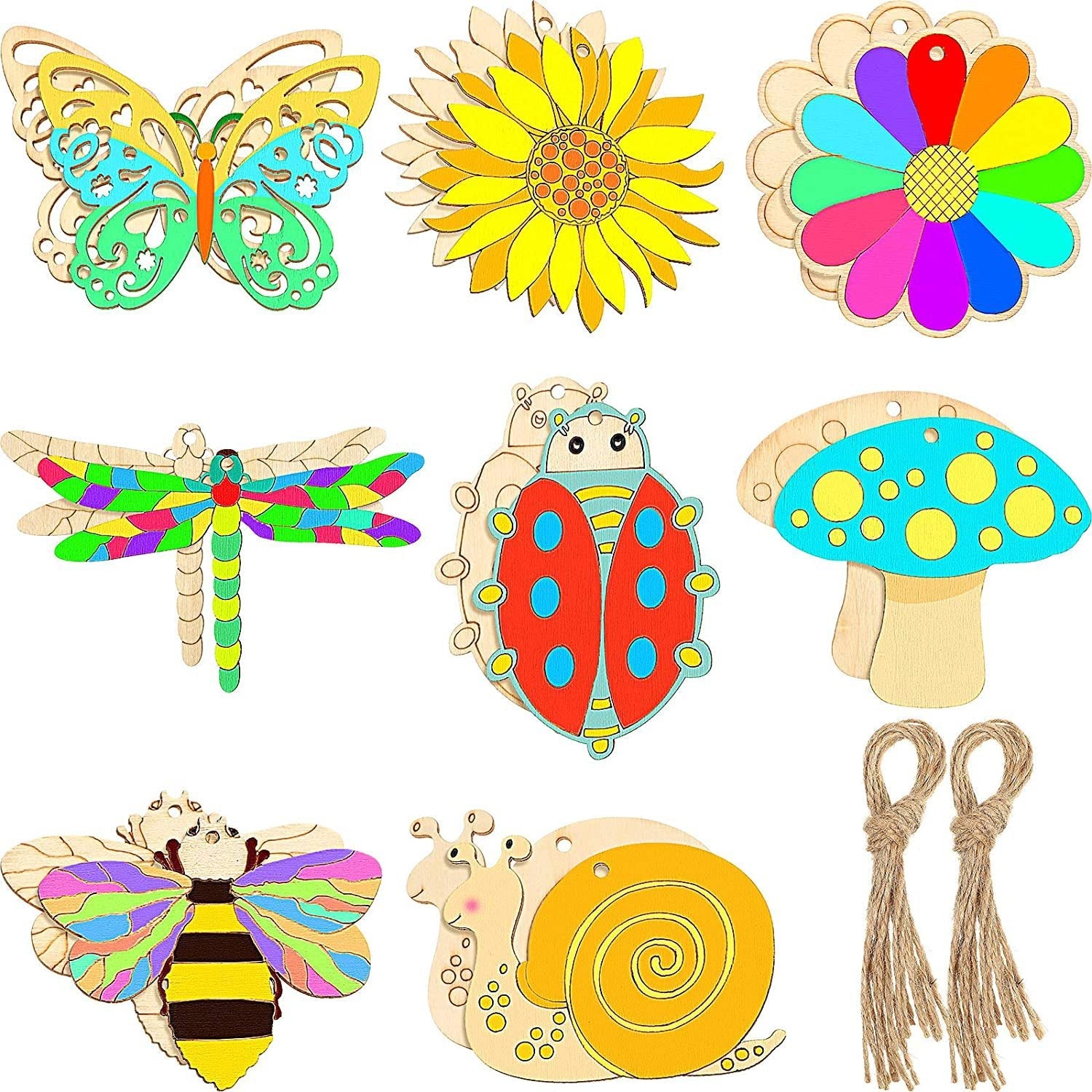 Large Natural Nature Insect Flower Bee Art and Craft Wooden Pieces Set of 10