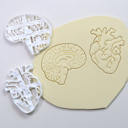Cookie Play Dough Shape Stencil Human Organs Pack