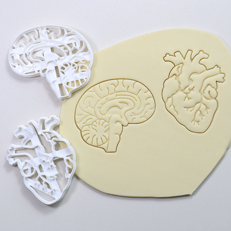 Cookie Play Dough Shape Stencil Human Organs Pack