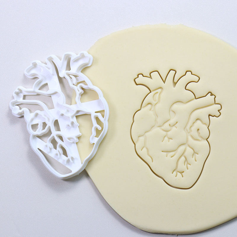 Cookie Play Dough Shape Stencil Human Organs Pack