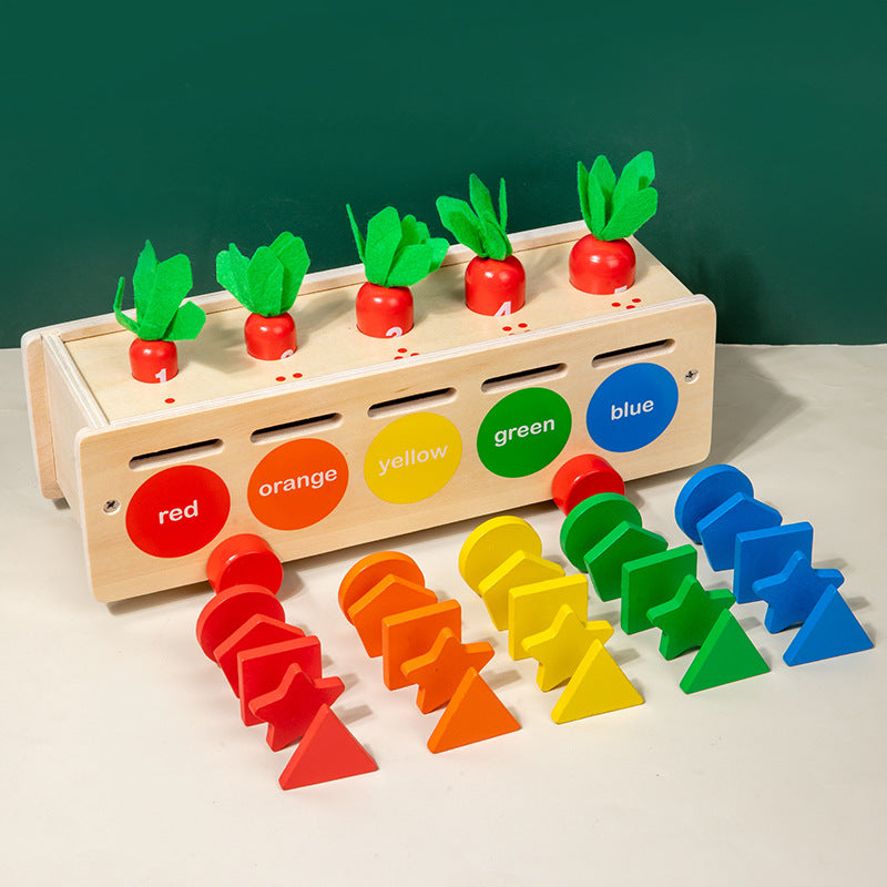 5 in 1 Classification Colour Shape Sorting Box Montessori inspired Kids Wooden Toy