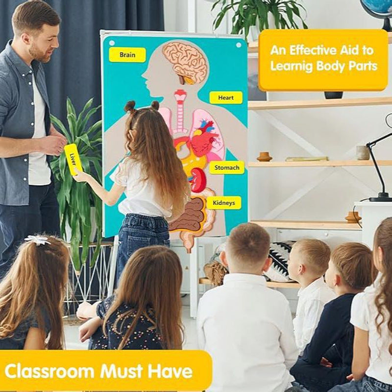 Portable Felt Body Parts and Organs Learning with Flash cards Life Skill Activities Learning