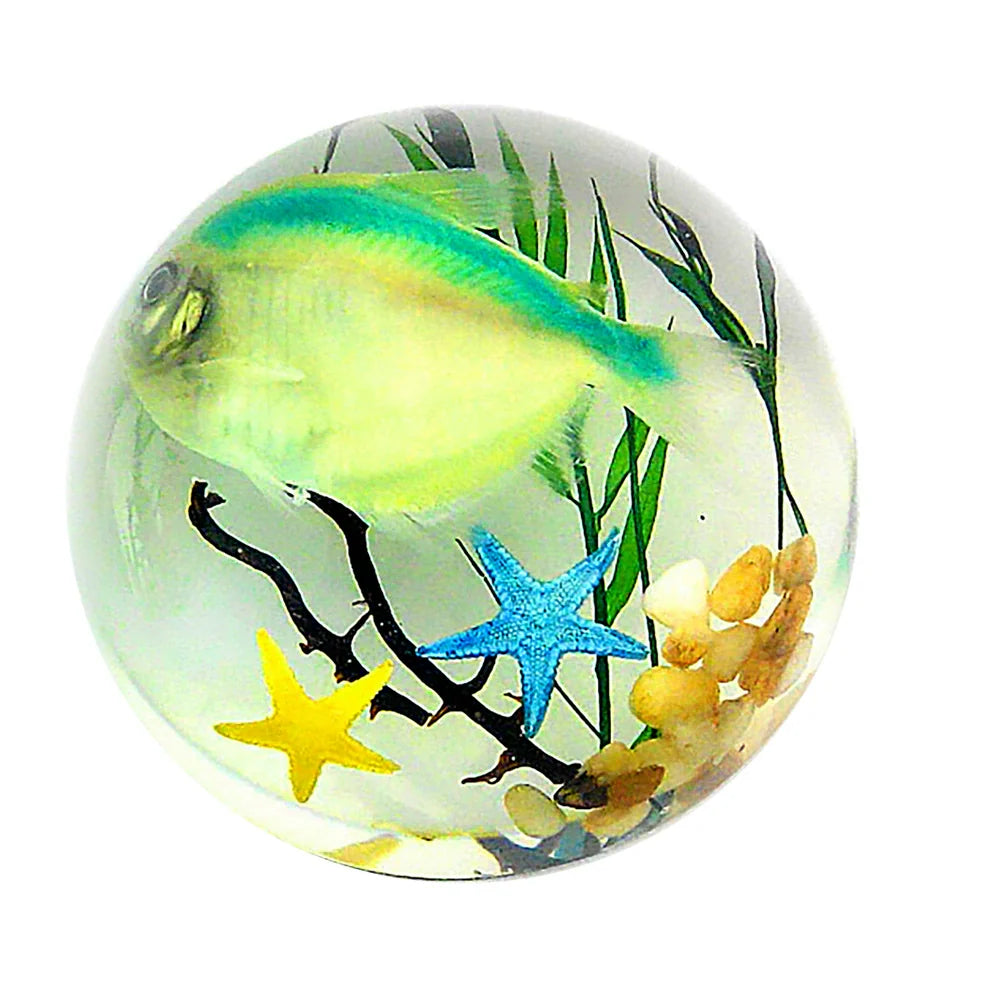 Butterfly Scorpion Spider Specimen Resin Hemisphere Domes Insects Bugs  Circular Blocks Science Toy