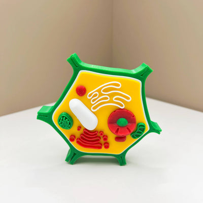 Célula animal y célula vegetal impresas en 3D: modelos STEM educativos para niños