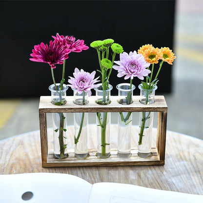 Test Tube hydroponics Science Learning Apparatus / Decor