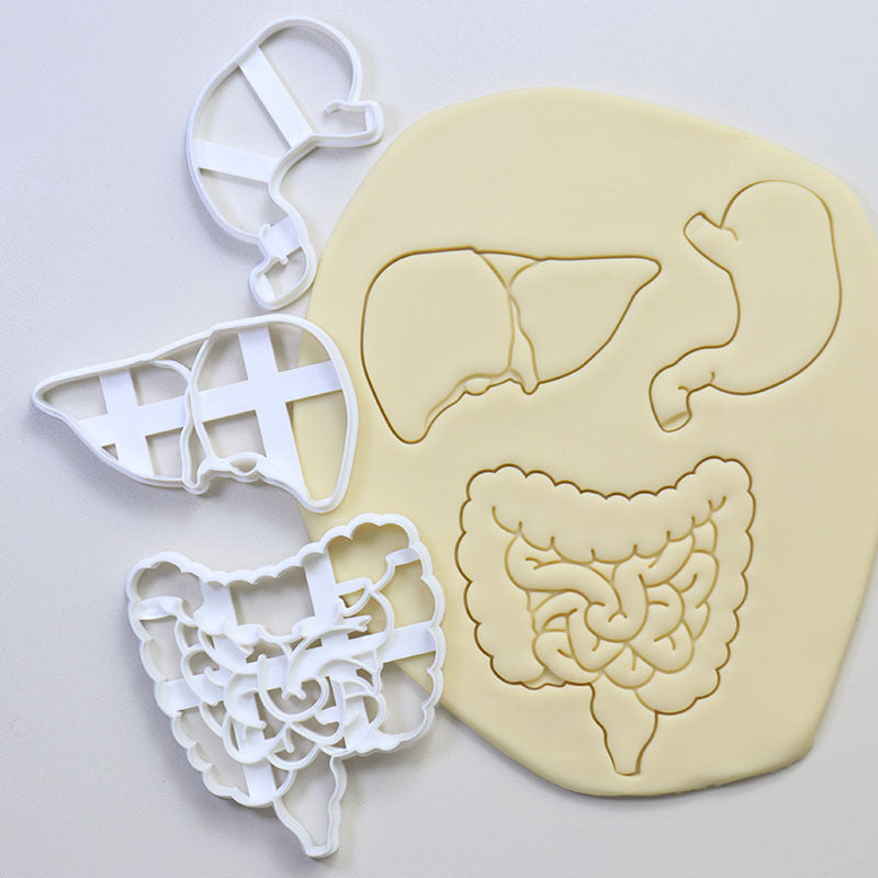 Cookie Play Dough Shape Stencil Human Organs Pack