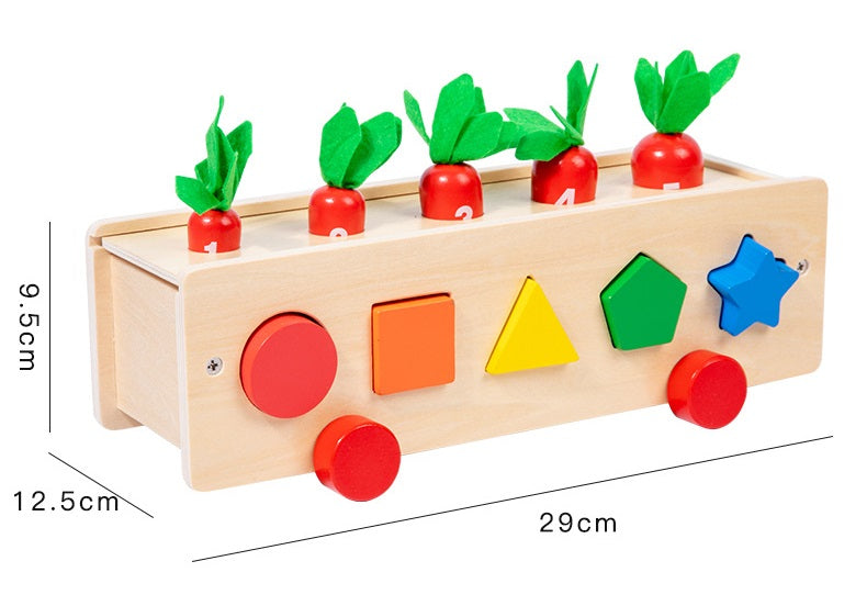 5 in 1 Classification Colour Shape Sorting Box Montessori inspired Kids Wooden Toy