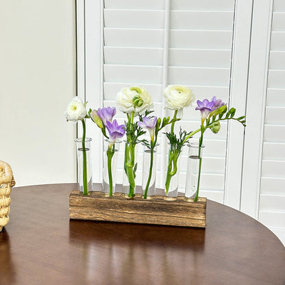 Test Tube hydroponics Science Learning Apparatus / Decor