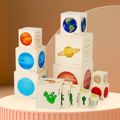 Montessori Wooden Life Cycle Activity Stacking Cube Planets Nesting Boxes