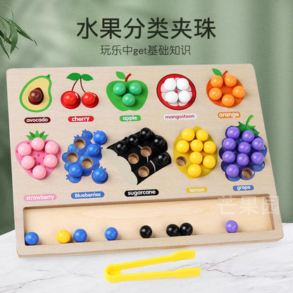 Fruits Color Sorting Beads