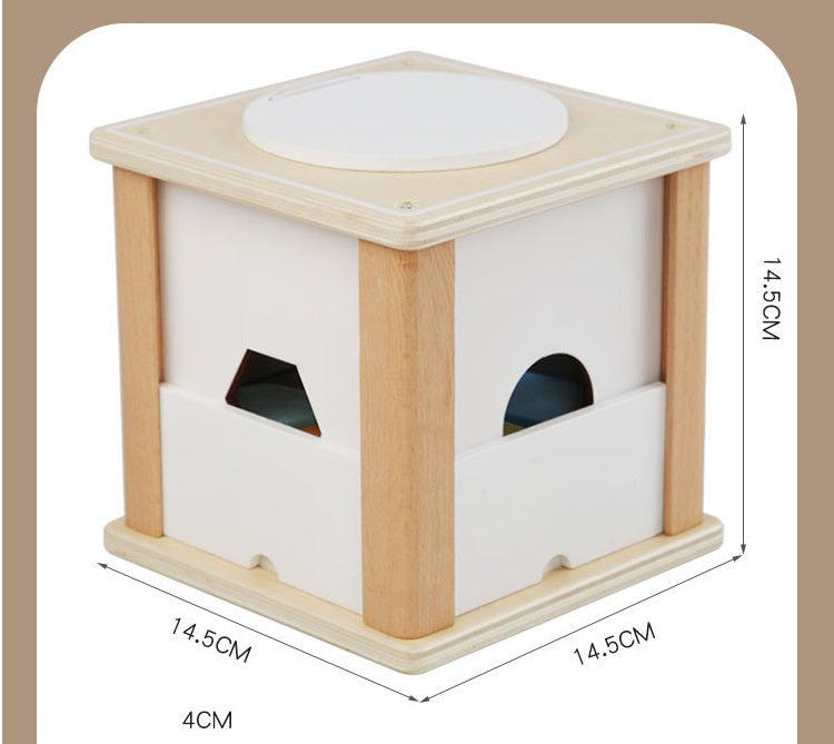 Wooden Montessori Shape Sorting Box with shifting plates