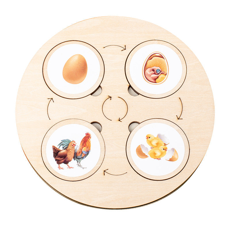 Tableau du cycle de vie Montessori pour la maternelle 10 animaux et plantes Papillon Grenouille Araignée Jouet cycle de vie Tournesol