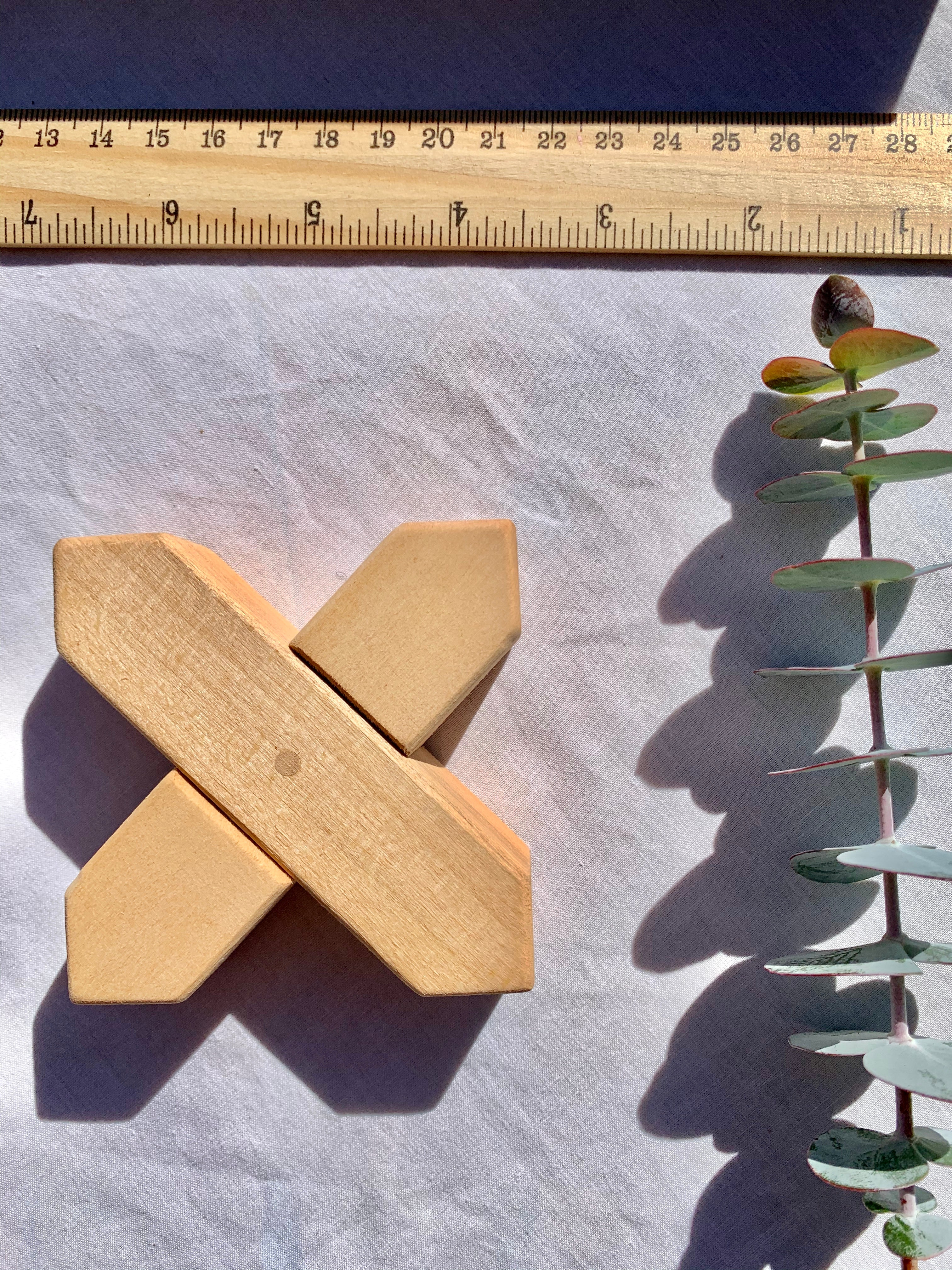 X Blocks Shape Building Blocks With Tray