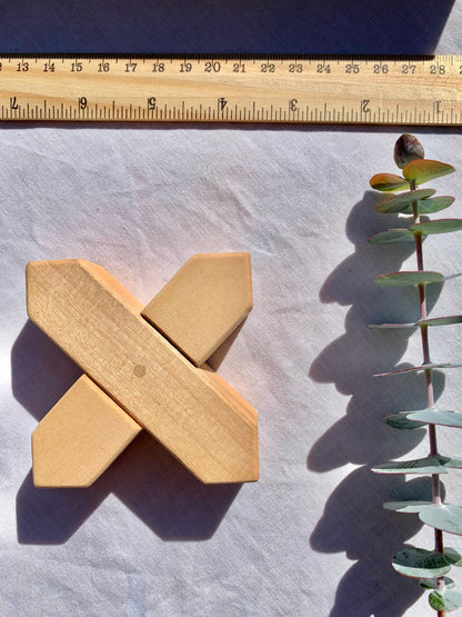 X Blocks Shape Building Blocks With Tray