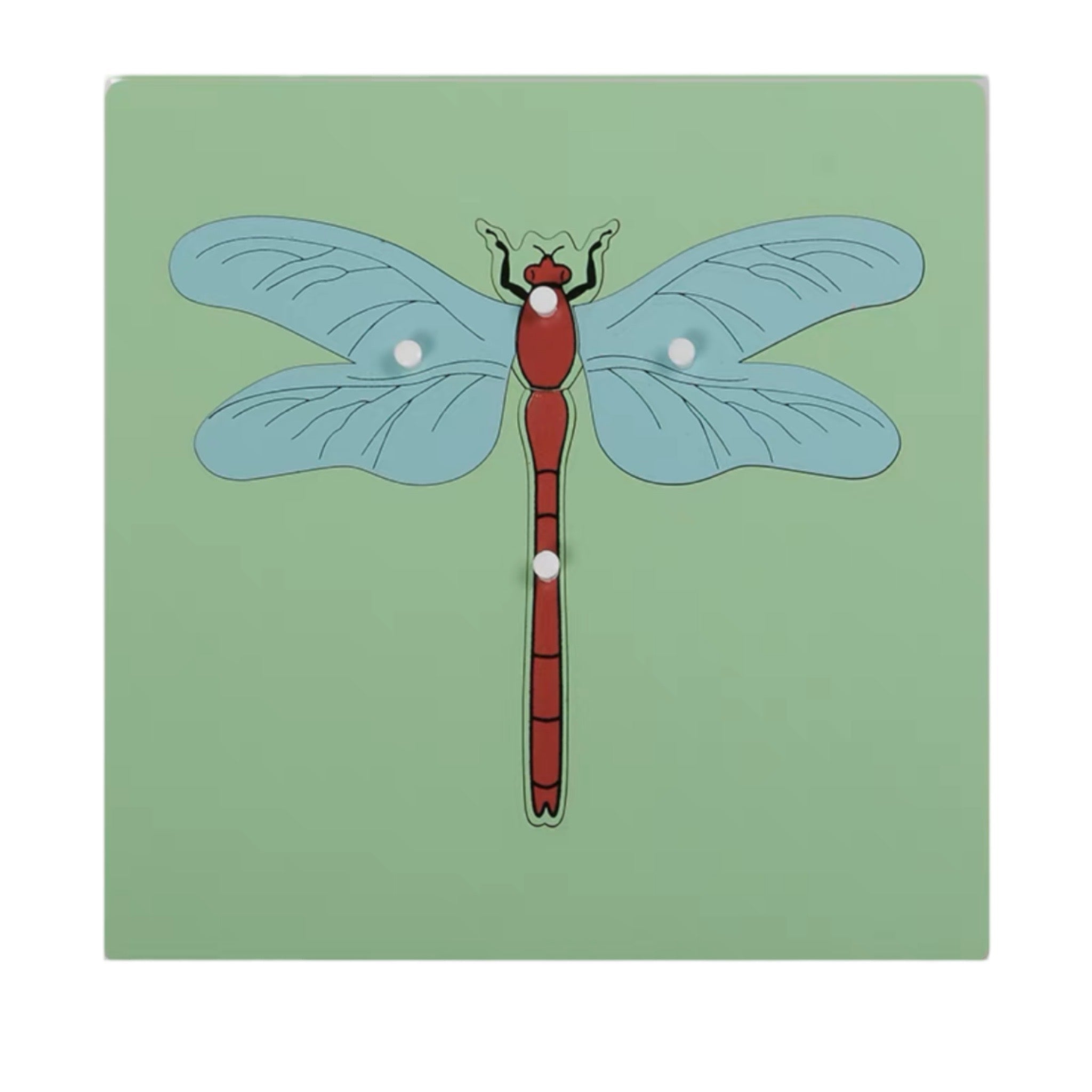 Montessori  Animal Puzzles Turtle Bird Frog Horse Fish Rooster Ladybug Butterfly Wooden Educational Preschool Kindergarten Toy