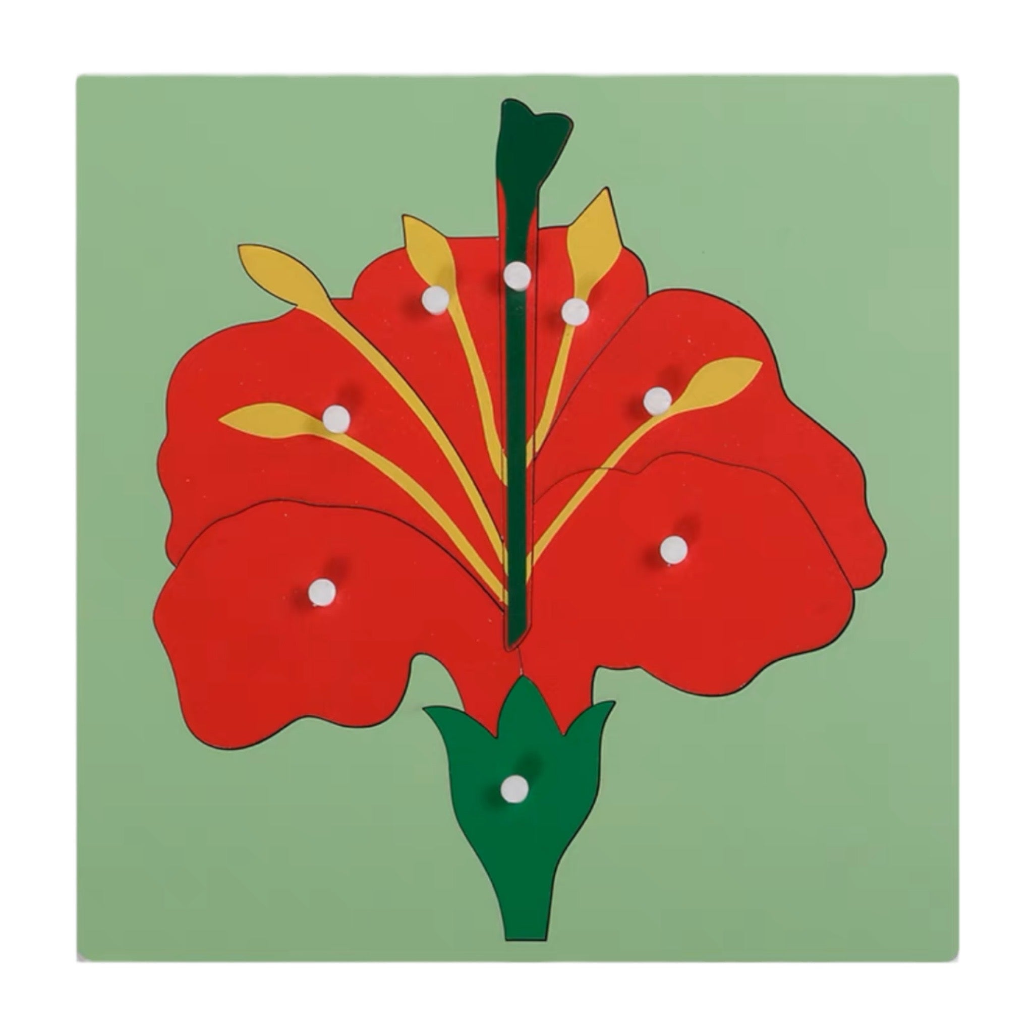 Montessori Plant Puzzles Tree Leaf Flower
