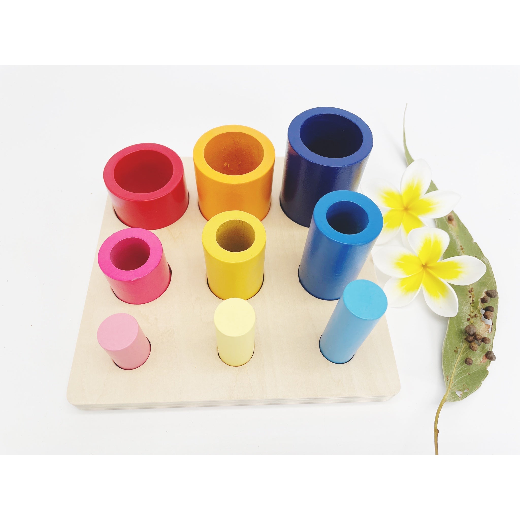 Montessori cylinders and circles Activity Board