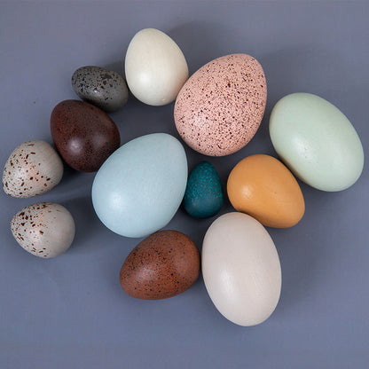 Wooden Eggs Bird Eggs