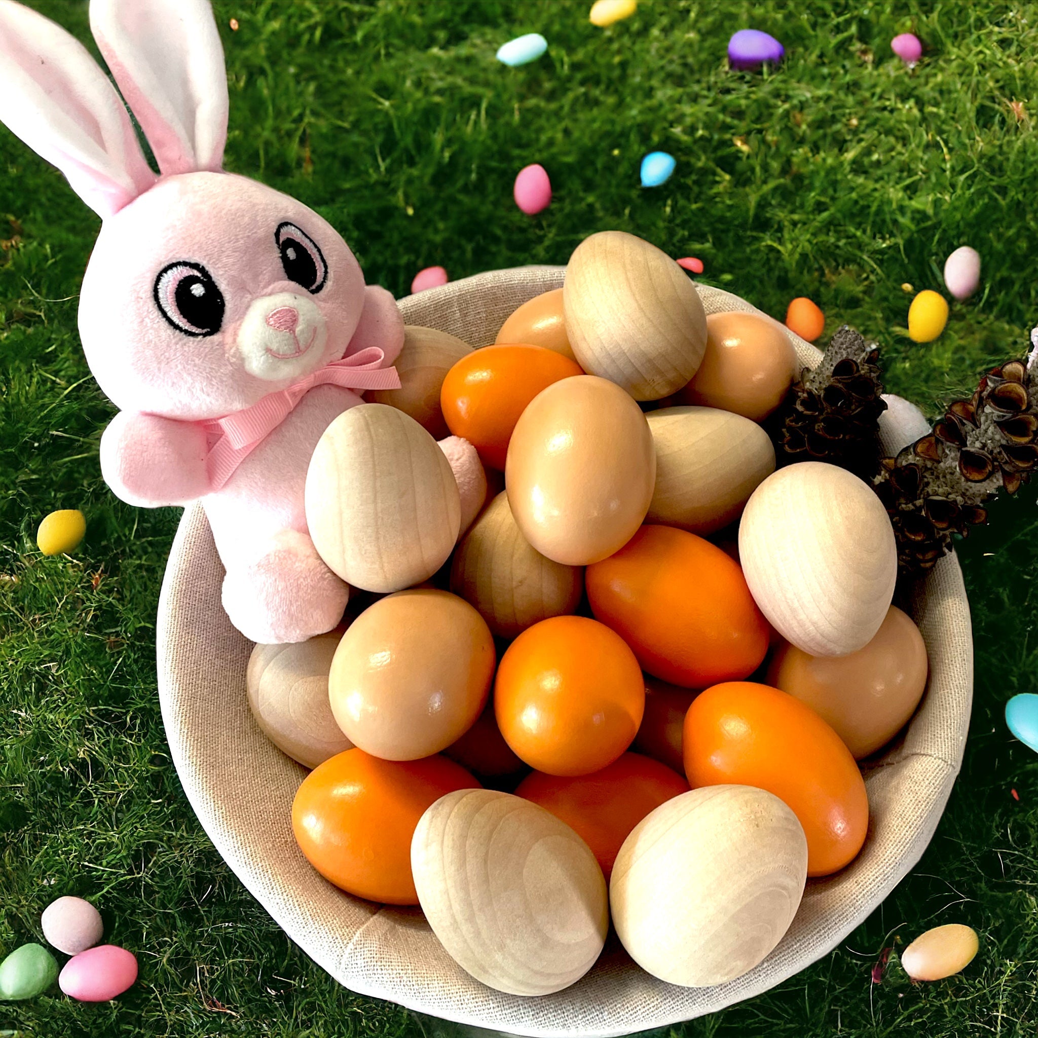 Jumbo Solid Wooden Egg Natural Finish DIY Craft Egg