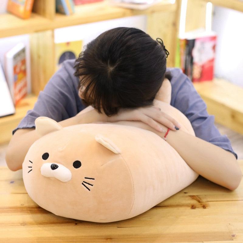 Plush Cat Toy