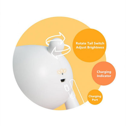 Rechargeable Night Light