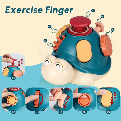 Toddler Montessori Baby Activity Turtle Toy