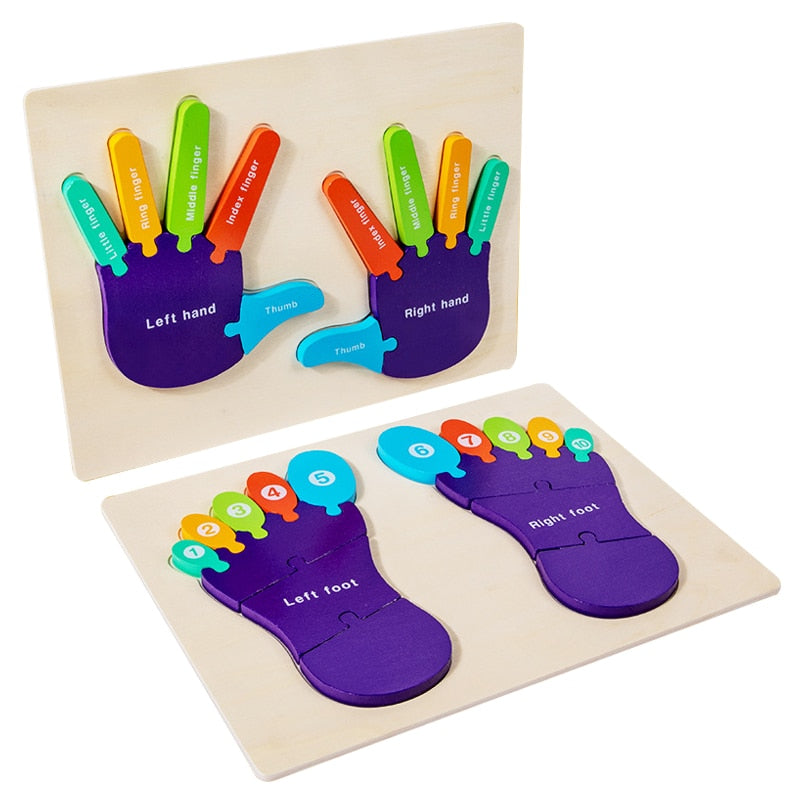 Fidtoy Montessori 3D Wooden Palms and Soles Puzzle – Toddler Educational Toy for Ages 2-4