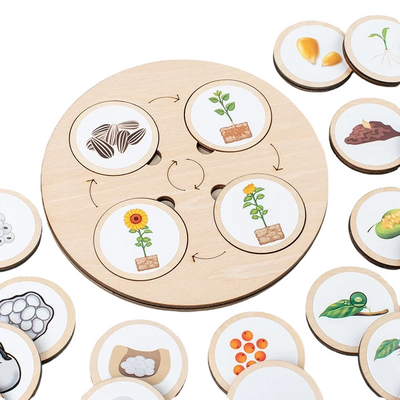 Juguete de aprendizaje Montessori sobre la naturaleza para niños Fidtoy Life Cycle Board