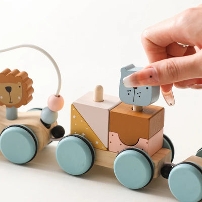 Fidtoy Jouet à tirer en bois pour tout-petits, voiture éducative 1 an et plus