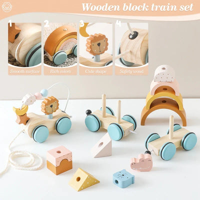 Fidtoy Jouet à tirer en bois pour tout-petits, voiture éducative 1 an et plus