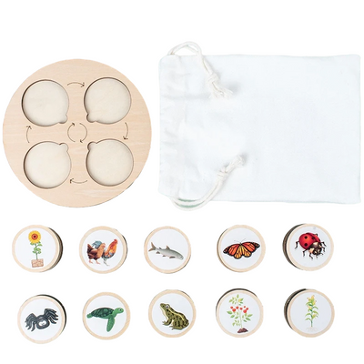 Juguete de aprendizaje Montessori sobre la naturaleza para niños Fidtoy Life Cycle Board