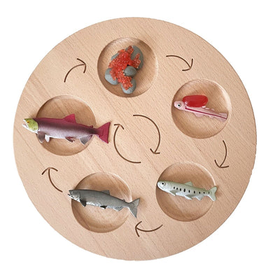 Fidtoy Planche de cycle de vie Montessori en bois - Jouet scientifique éducatif pour enfants