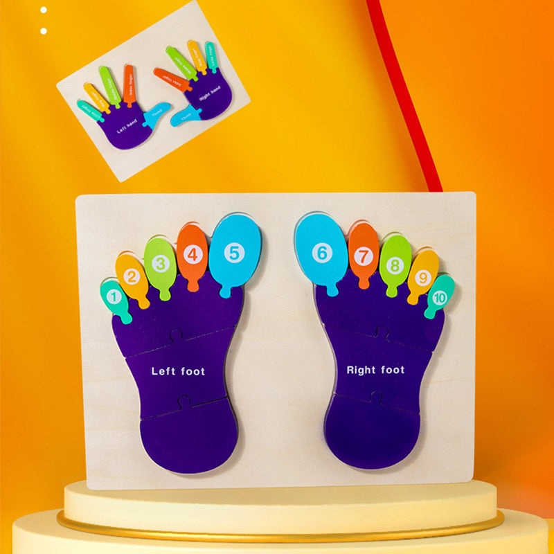 Puzzle 3D Montessori en bois pour les mains et les pieds