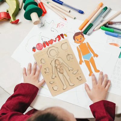 Set de Rompecabezas de Órganos Humanos Fidtoy, Juguete Montessori para Aprender Anatomía