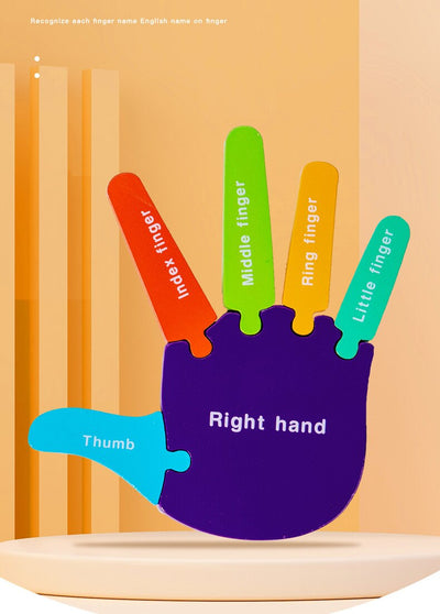 Puzzle 3D Montessori en bois pour les mains et les pieds