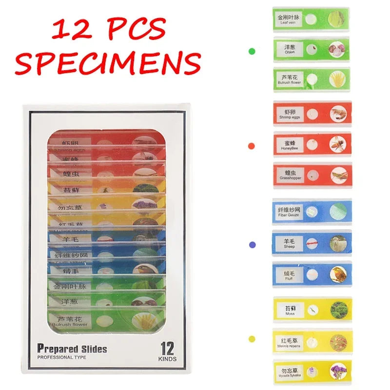 Fidtoy Kids Pocket Microscope 60X 120X Handheld STEM Science Toy