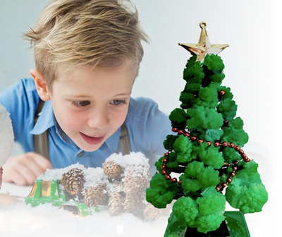 GrowTree™ - ¡Cultiva tu propio árbol de Navidad! - Kit de cultivo de árboles de Navidad (1+1 GRATIS)