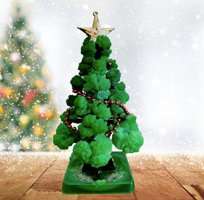GrowTree™ - ¡Cultiva tu propio árbol de Navidad! - Kit de cultivo de árboles de Navidad (1+1 GRATIS)