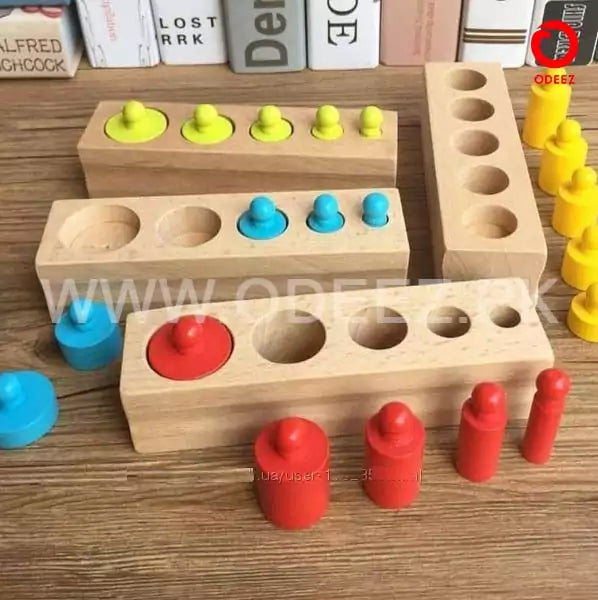 Set of 4 Montessori Cylinder Blocks - 203