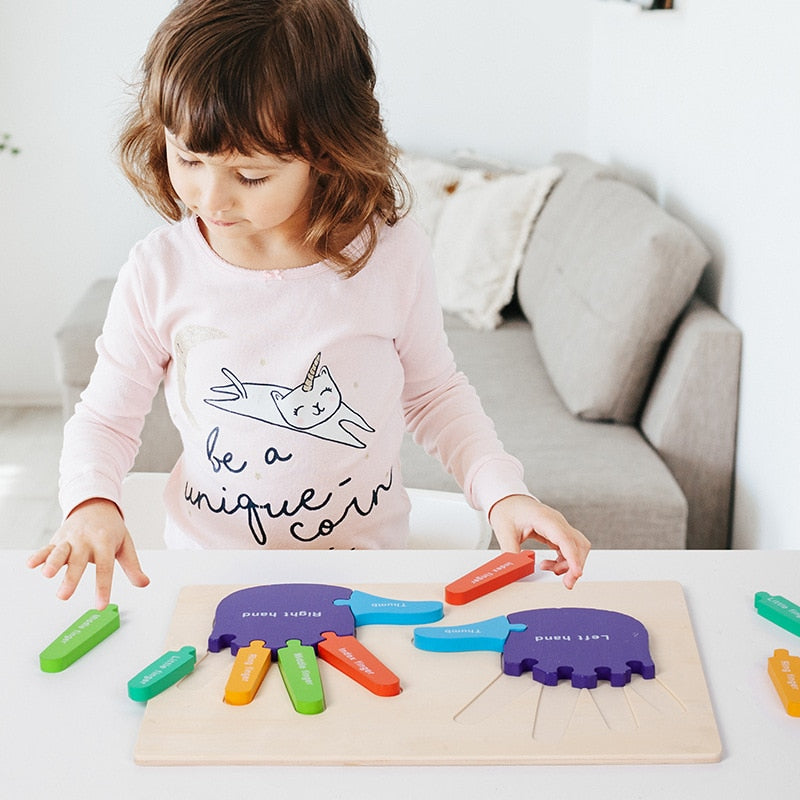 Fidtoy Montessori 3D Wooden Palms and Soles Puzzle – Toddler Educational Toy for Ages 2-4