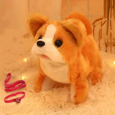 CopainJappeur