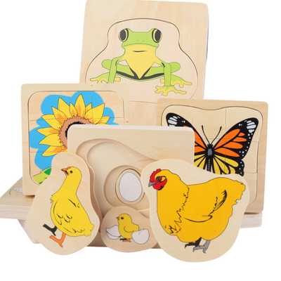Montessori Multilayered Chicken Lifecycle Puzzle