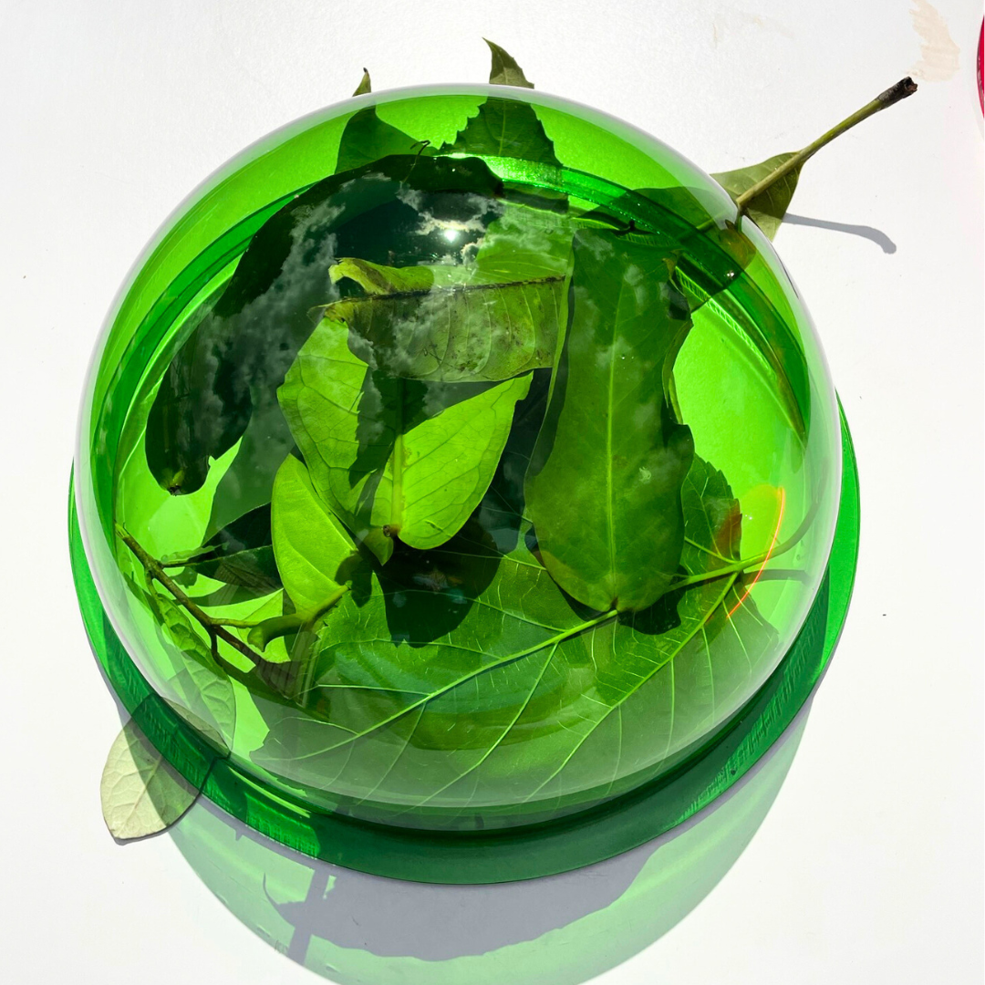 25cm Acrylic Dome Ball Sensory 5 Bowl For Play Light Table Reggio Inspired Toy