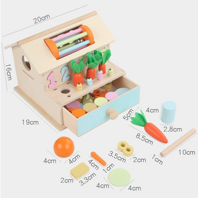 Support de présentation de jouet en bois Montessori multi-activités boîte de tri de formes géométriques motricité fine pour tout-petits